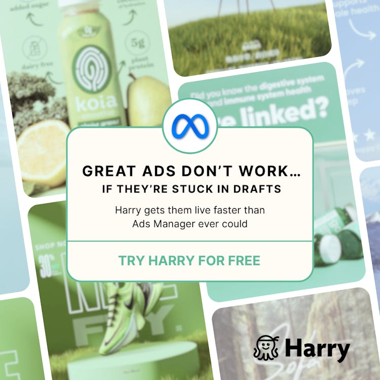 Harry – Automated Ad Campaign Launch Platform