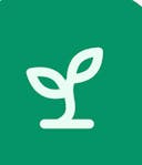 AI-powered summaries, flashcards, and quizzes from any file.