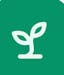 Study Sprout