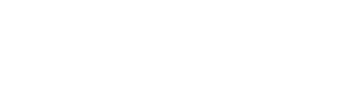 PUNKU.AI logo