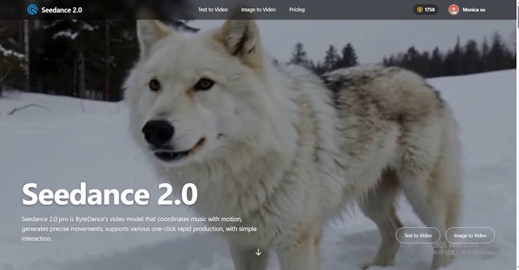 Seedance 2.0 pro