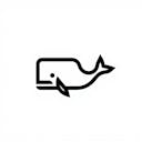 Follow the whales. Beat the market.