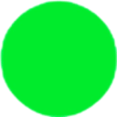 A Developer Portfolio That Feels Like Home