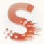 Seedance Studio