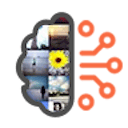 Immich Photo Manager