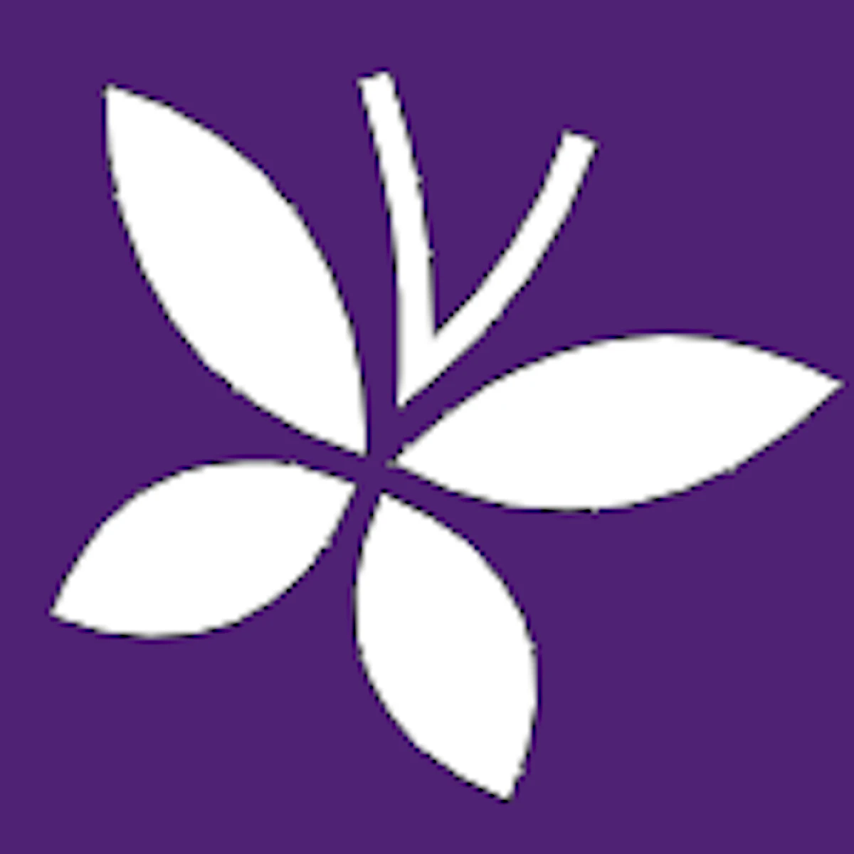 noSwag logo