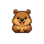 quokka
