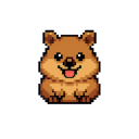 quokka