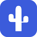 SEO Cactus