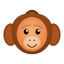 LAN Orangutan