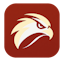 Ranks Hawk