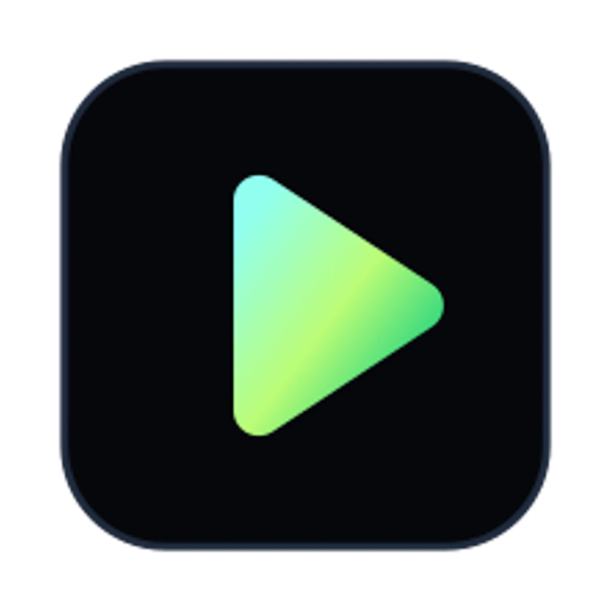 VideoAny logo