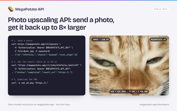MegaPotato API