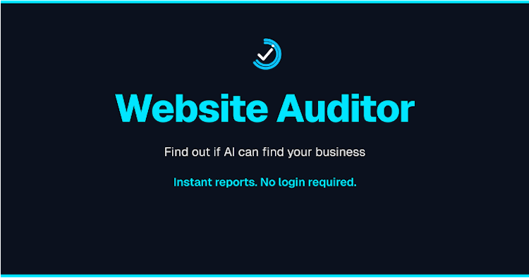 AI Website Auditor