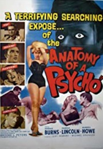Anatomy of a Psycho poster