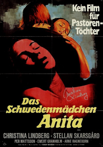 Anita German dub poster