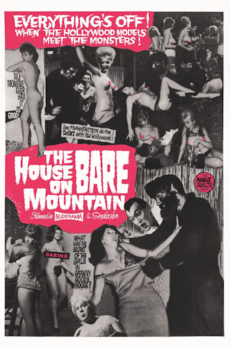The House on Bare Mountain poster