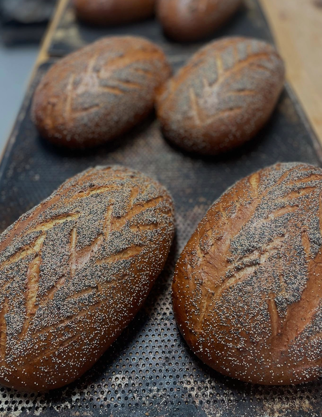 Grahamsbröd
