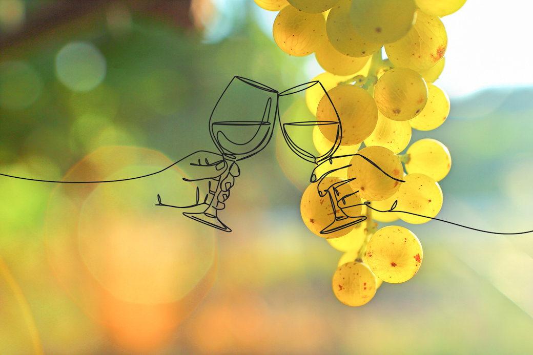 Høst i Burgund   Chardonnay, Pinot & Porcini – tre gode venner