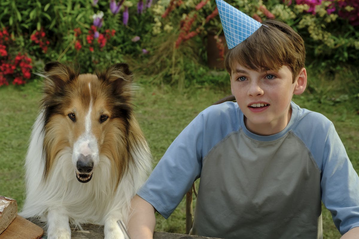 Lassie På Nye Eventyr 