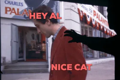 Hey_Al_nice_cat.gif