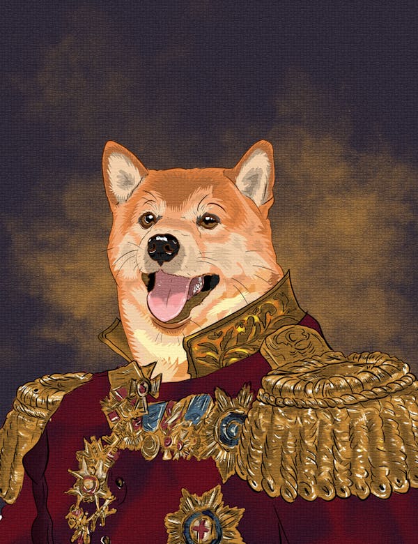 Prince Kabosu : Doge Kingdom