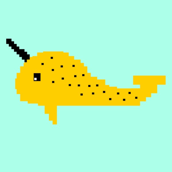 Narwhal #1