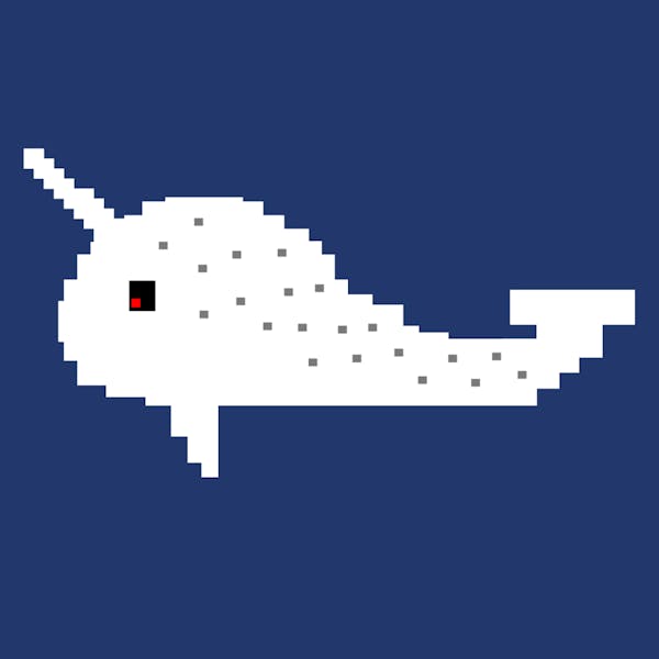 Narwhal #3