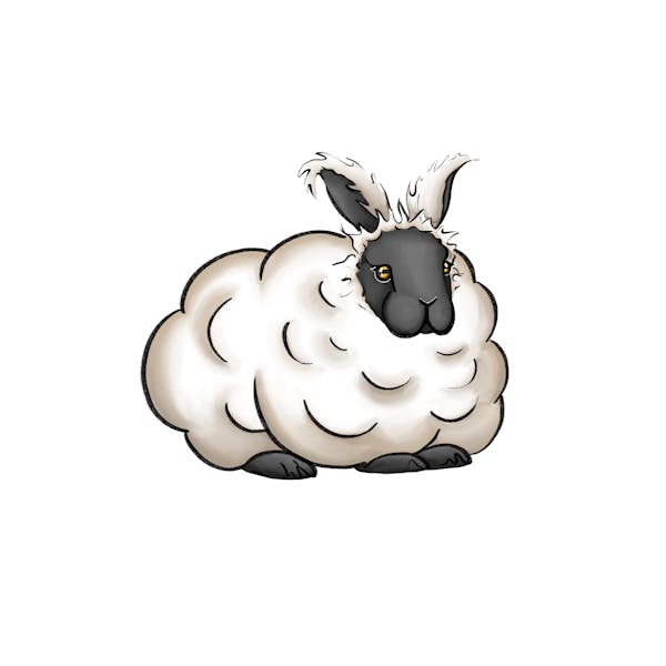 Bun In Sheep’s Clothing - CryptoBun#20
