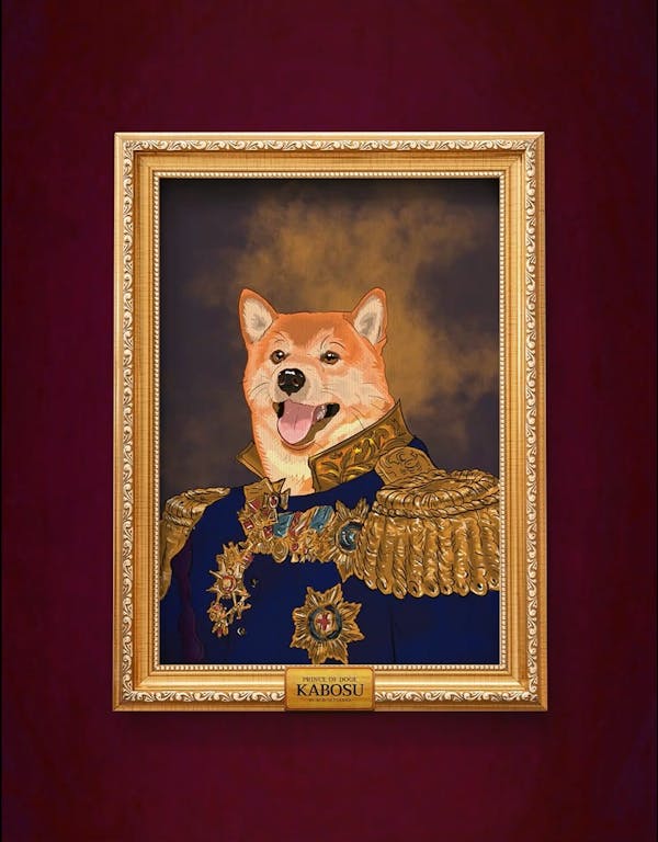 Kabosu The Prince of DOGE : Navy