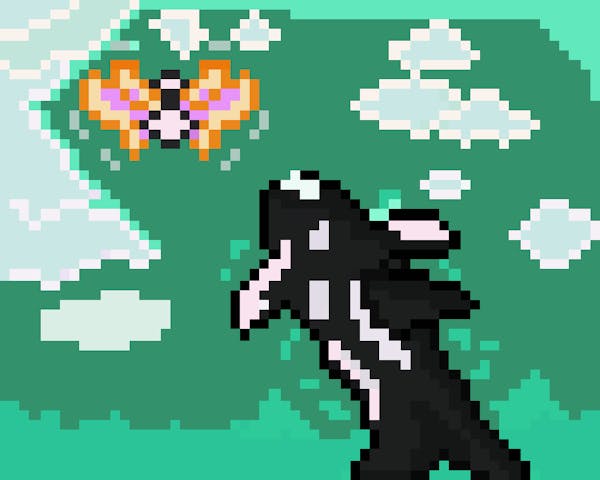 #3 The Orca and the Flying Potion