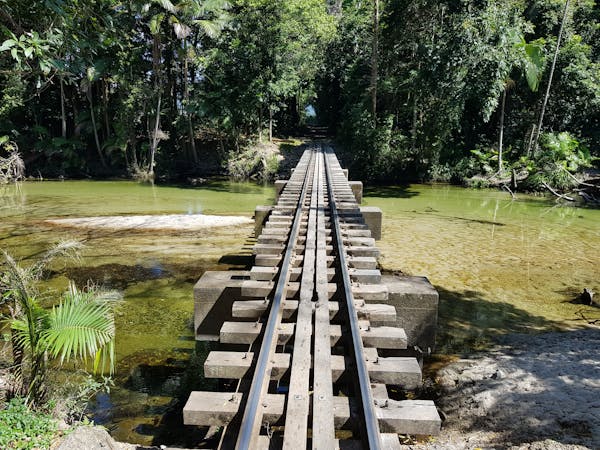 Jungle railway line