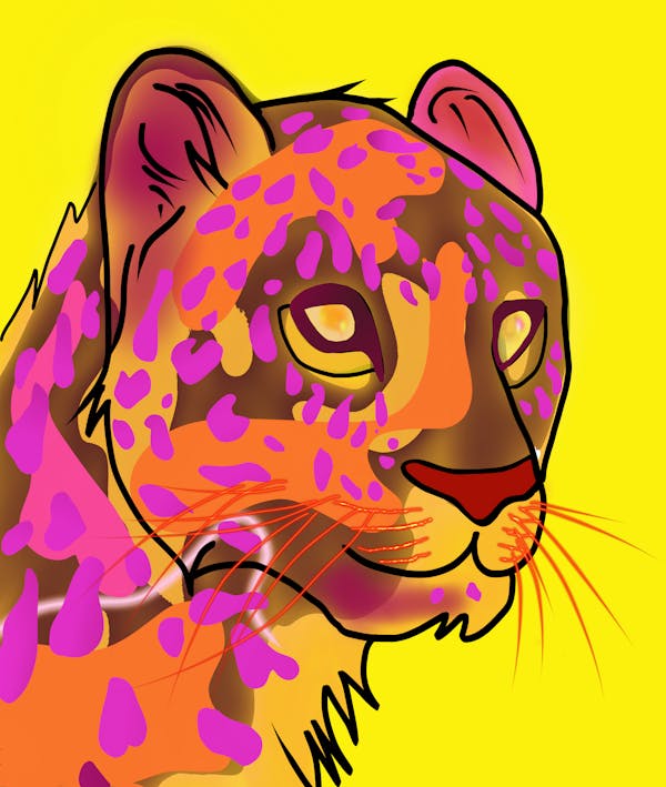 Cheetah#2