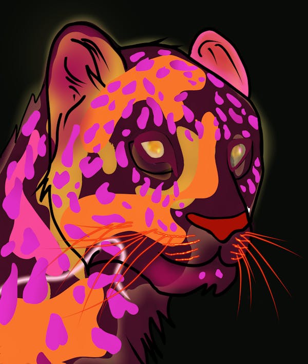 Cheetah#3