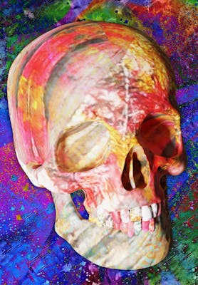 Luvcraft Art Skull #051