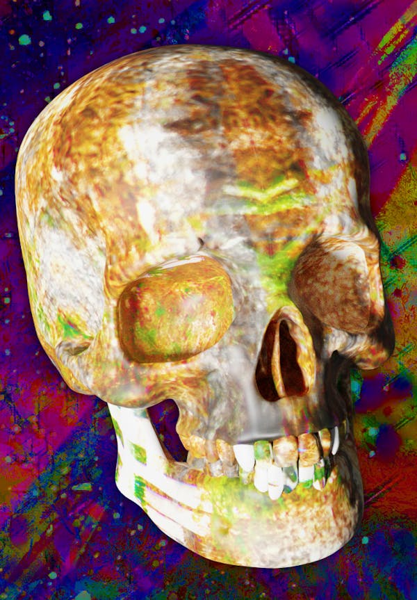 Luvcraft Art Skull #052