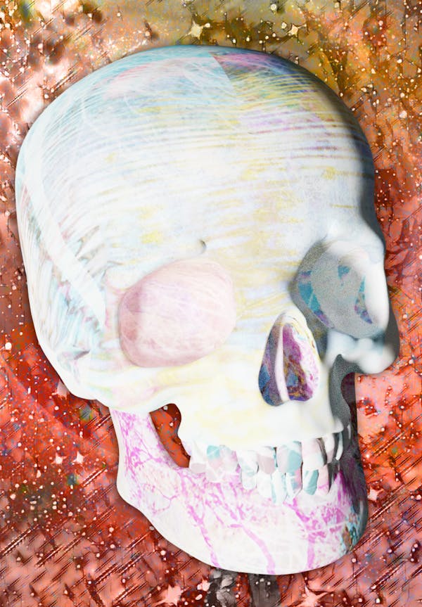 Luvcraft Art Skull #053