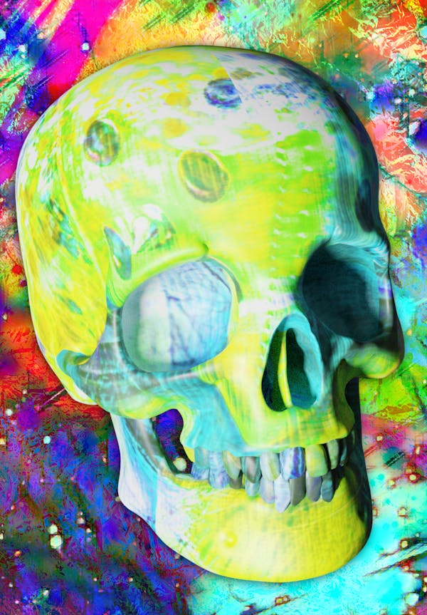 Luvcraft Art Skull #059