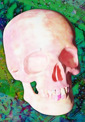 Luvcraft Art Skull #060
