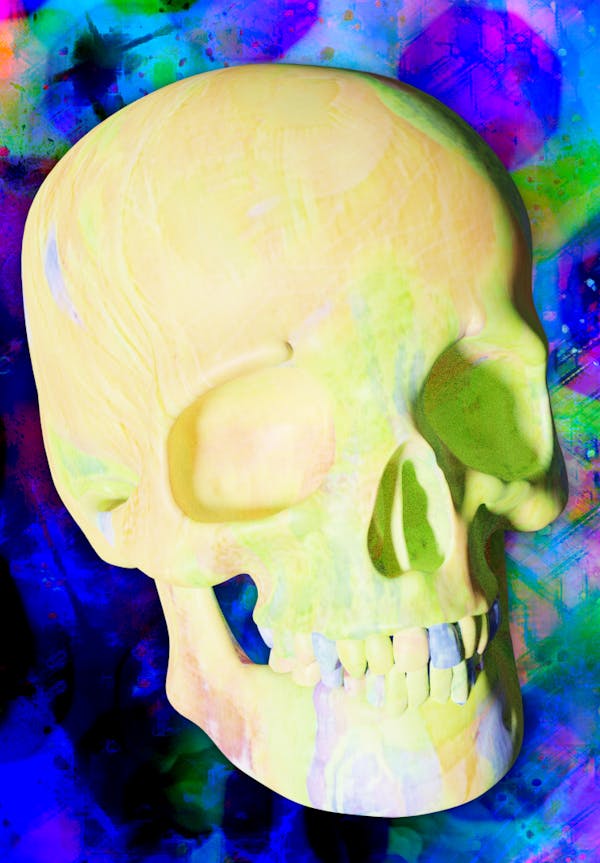 Luvcraft Art Skull #062