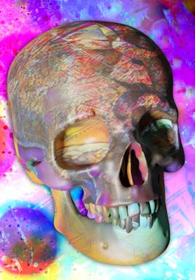 Luvcraft Art Skull #063