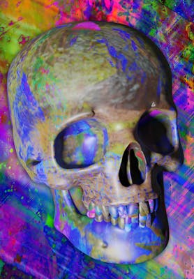 Luvcraft Art Skull #065