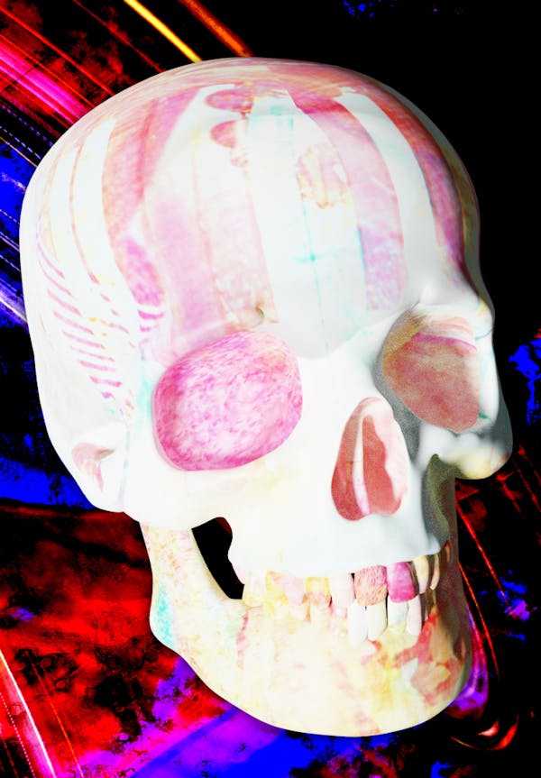 Luvcraft Art Skull #067