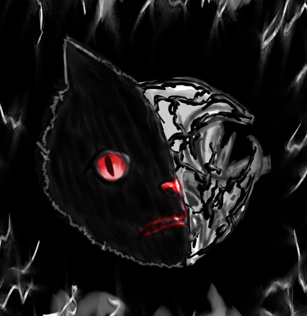 Black symbio cat