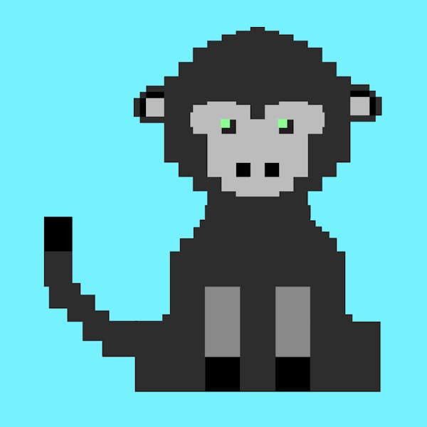 Monkey #9