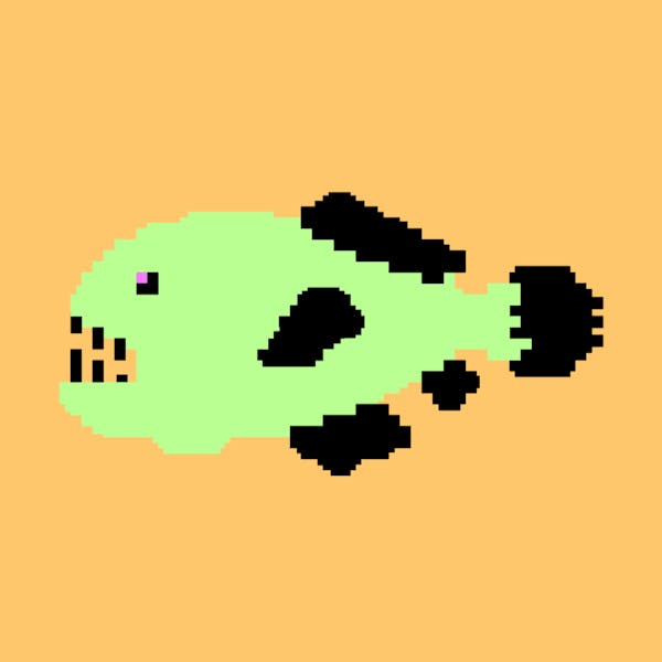 Piranha #4