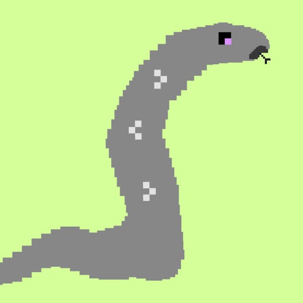 Anaconda #1