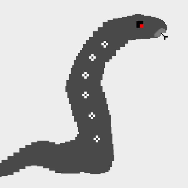Anaconda #5