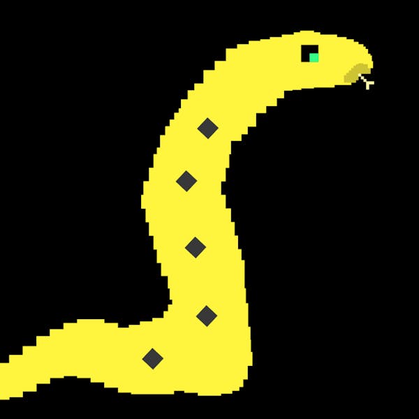 Anaconda #9