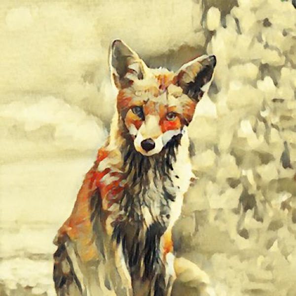 The Fox #AnimalEdition_01